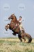 tennessee_walker_gypsy_riding91